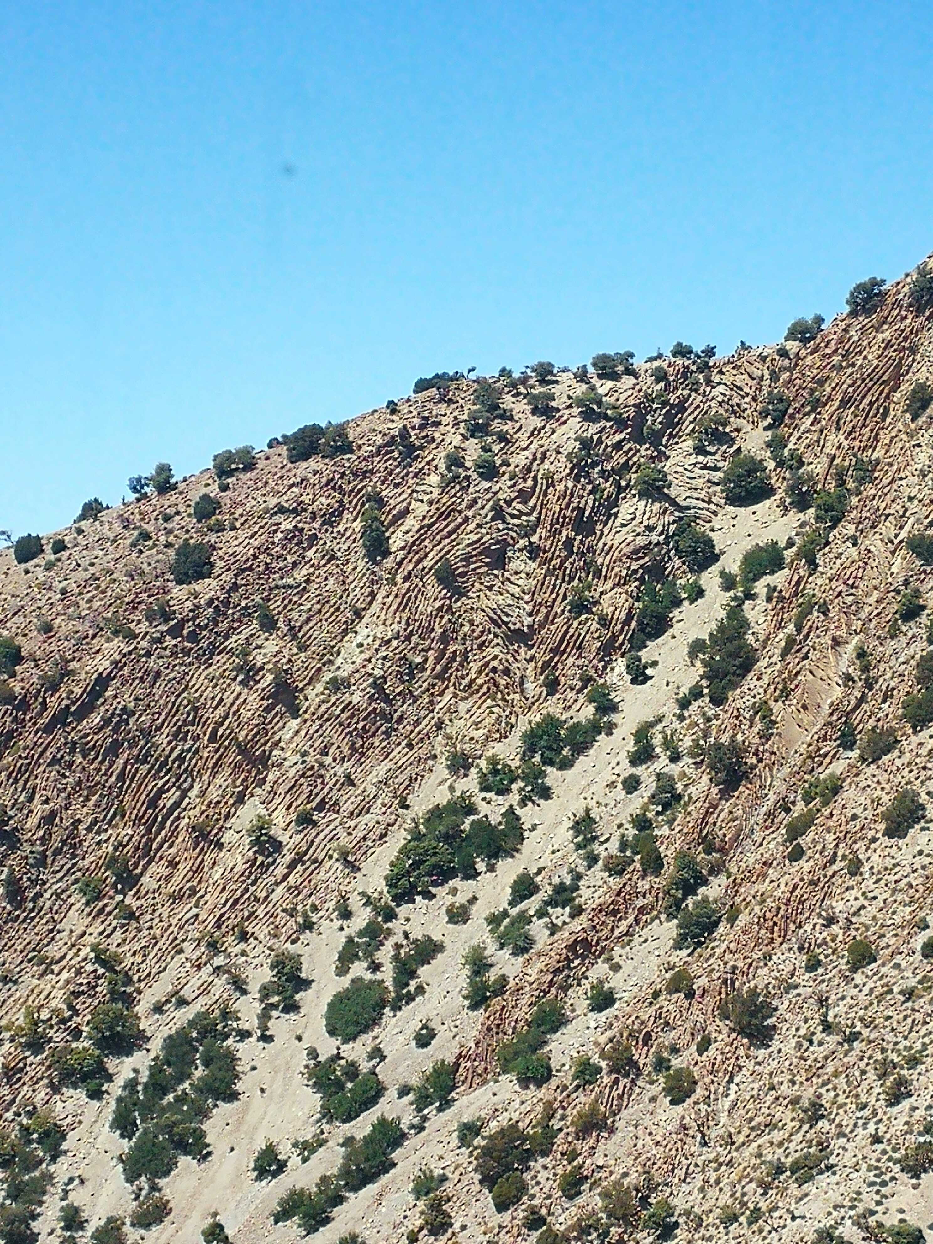 主图1 复式褶皱南翼(滑塌褶皱).jpg