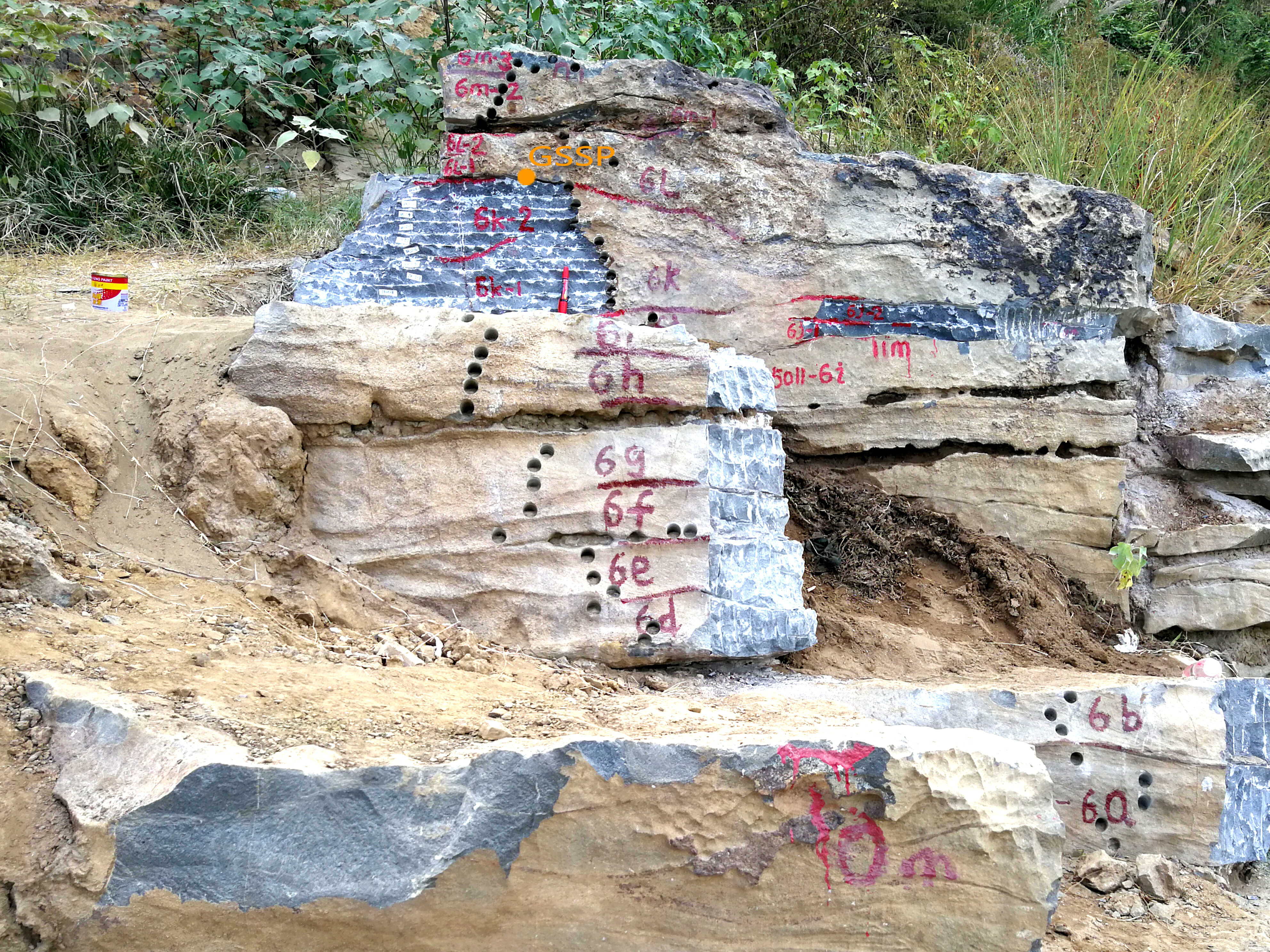 照片1-3 蓬莱滩新剖面获批的新二叠系乐平统底界“金钉子”露头蓬莱滩新剖面获批的二叠系乐平统底界新“金钉子”露头3.jpg