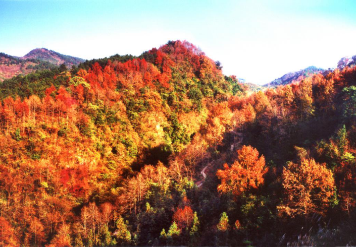 漓江·古东景区