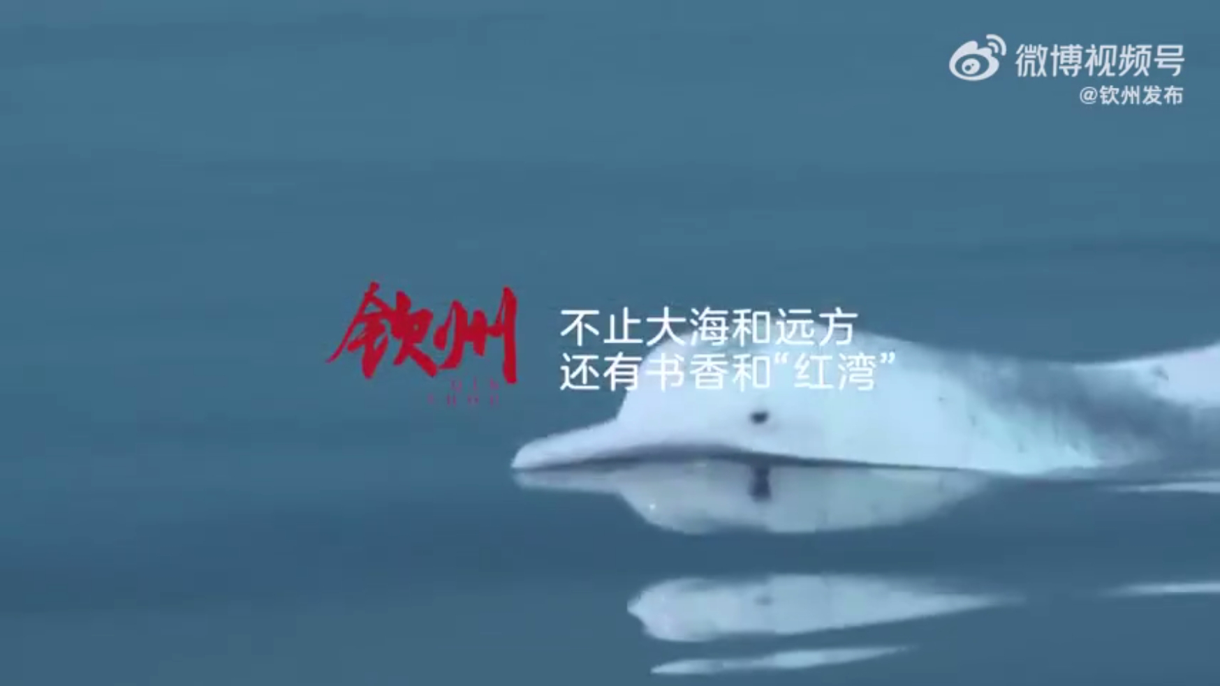 钦州：不止大海和远方 还有书香和“红湾”