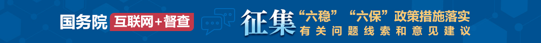 国务院互联网督查
