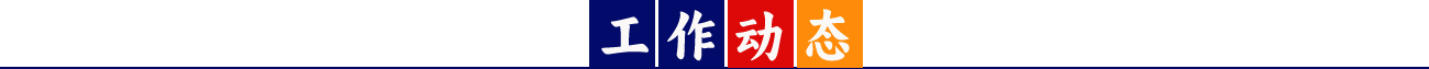 工作动态