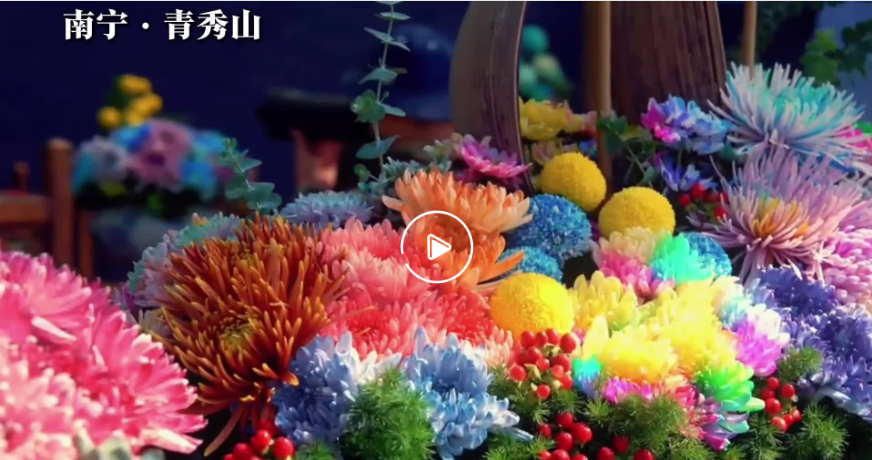 广西正是冬暖花开时