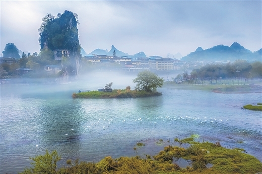 随着漓江生态保护越来越好,经常可见白鹭在江上飞舞。周俊健 摄.jpg